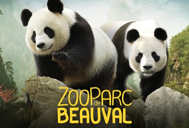 Зоопарк Beauval