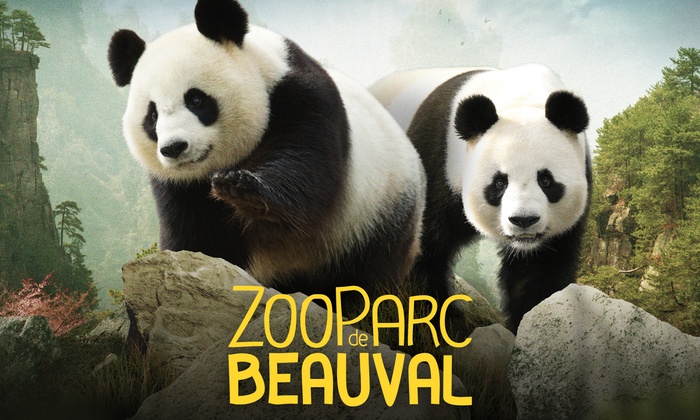 Зоопарк Beauval